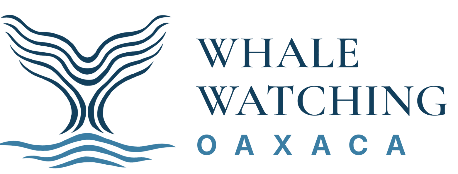 Whale Watching Oaxaca